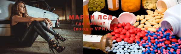 стафф Арсеньев