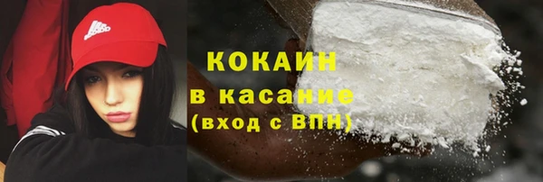 стафф Арсеньев