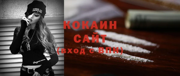 сатива Аркадак
