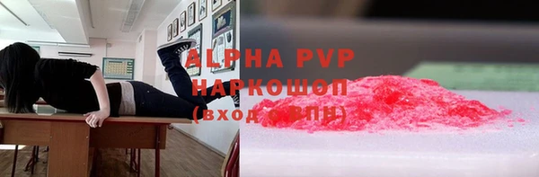 сатива Аркадак