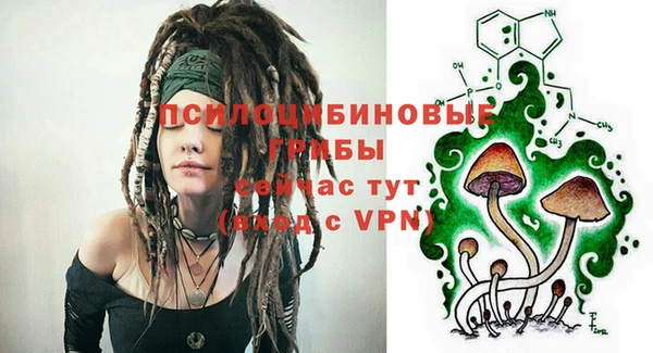 сатива Аркадак
