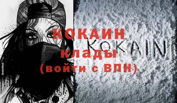 сатива Аркадак