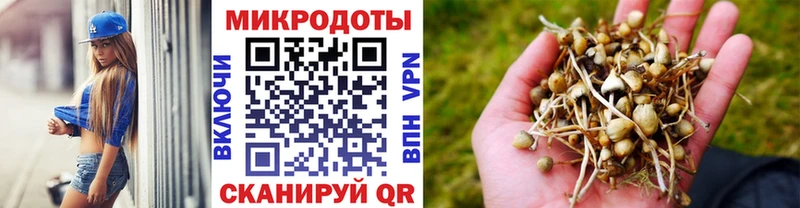 закладки  Лянтор  Псилоцибиновые грибы MAGIC MUSHROOMS 